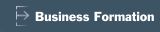 Business Formation 